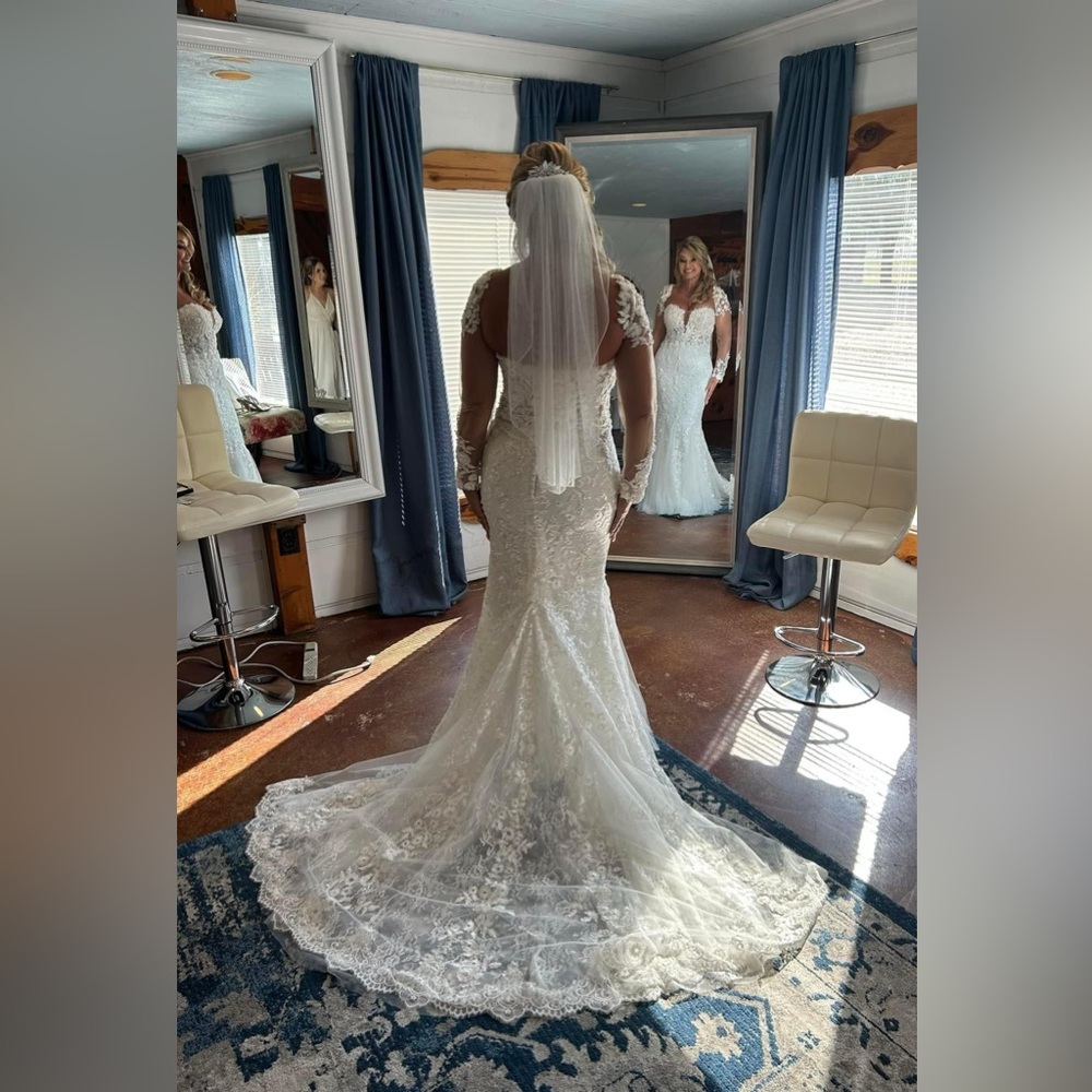 Designer PRONOVIAS PRIVEE Wedding Dress: JAMEELA w/ CUSTOM detach sleeves - Picture 4 of 14